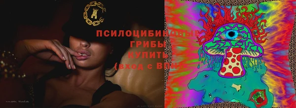 стафф Богданович