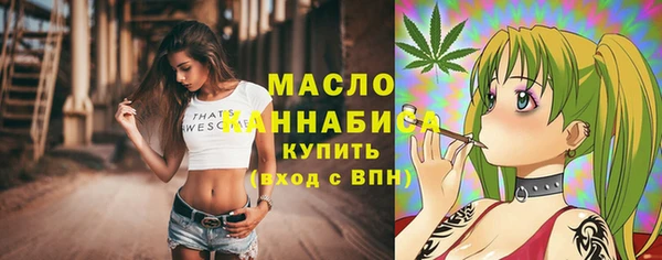 apvp Богородицк