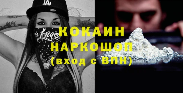 стафф Богданович