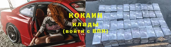 стафф Богданович