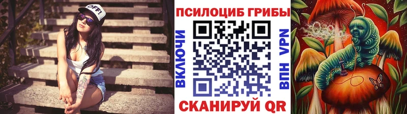 Галлюциногенные грибы Psilocybe Микунь